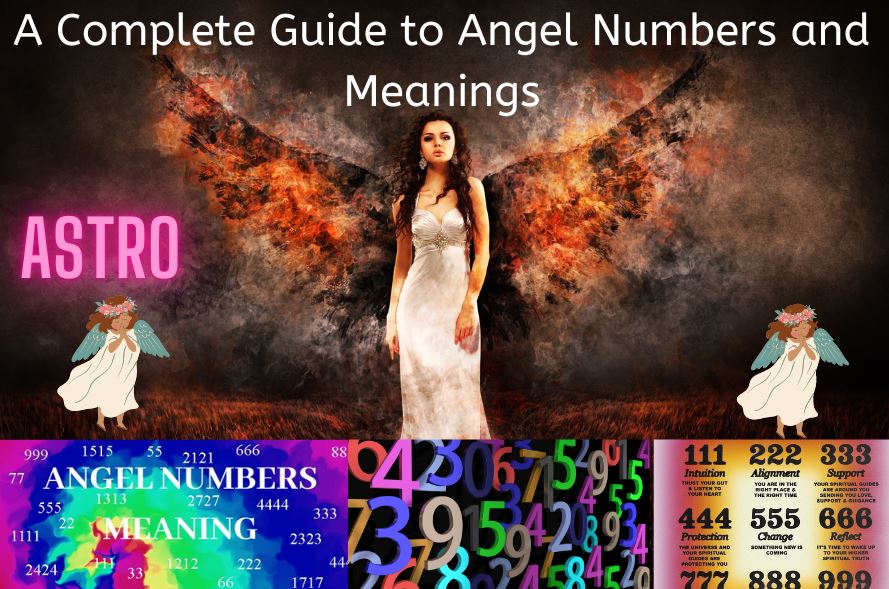 angel number index
