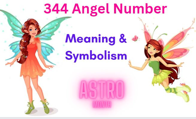 344 Angel Number