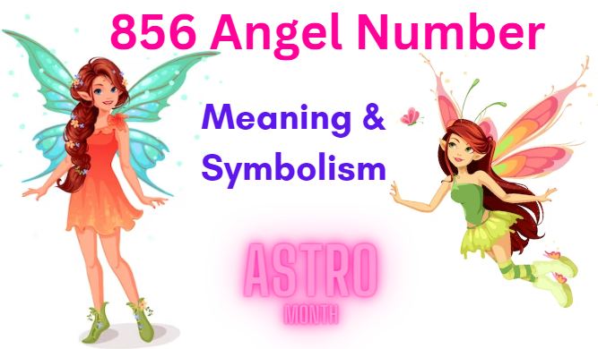 856 Angel Number