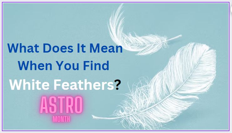 Seeing a white feather meaning