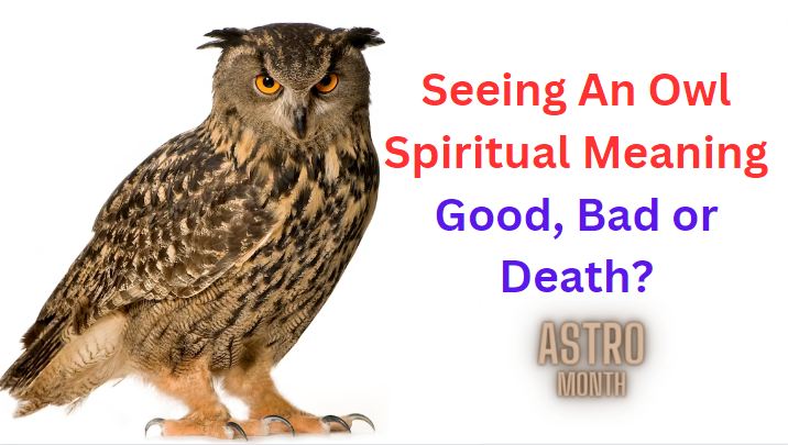 seeing an owl spiritual meaning